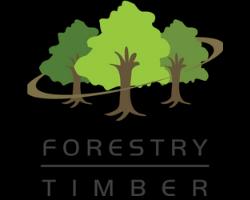 Forestry Timber Brand Catalog Logo